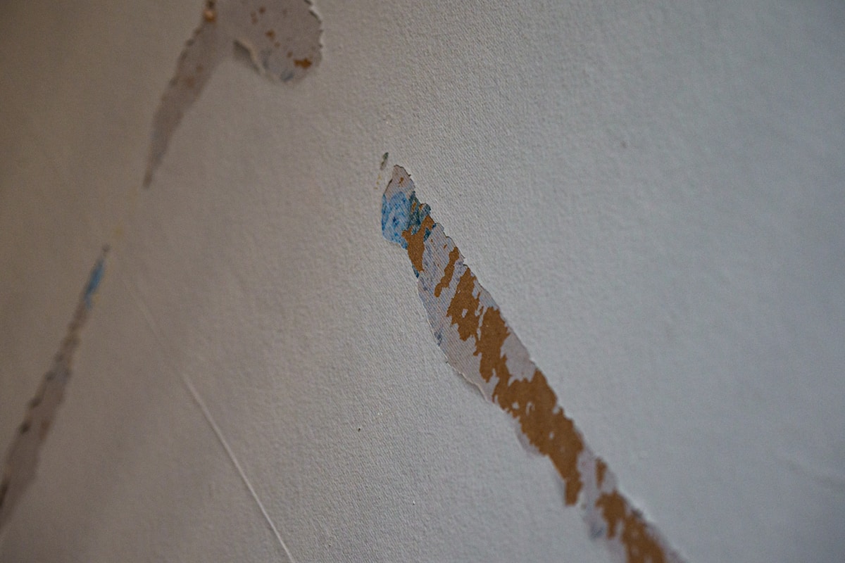 Basement Water Removal service in Houston, TX